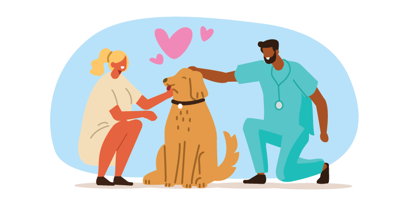 woman and vet petting dog